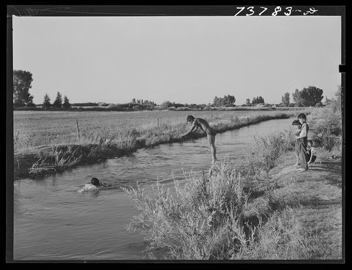 Shelley, Idaho. Japanese-American boys living at FSA (Farm Security Administration) mobile camp swimming in irrigation ditch