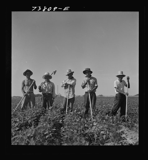 Twin Falls County, Idaho. FSA (Farm Security Administration) workers' camp. Japanese farm workers