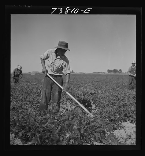 Untitled photo, possibly related to: Twin Falls County, Idaho. FSA (Farm Security Administration) workers' camp. Japanese farm workers