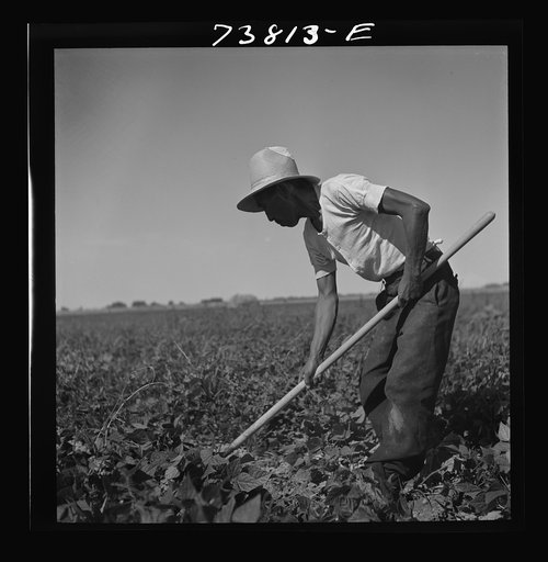Untitled photo, possibly related to: Twin Falls County, Idaho. FSA (Farm Security Administration) workers' camp. Japanese farm worker
