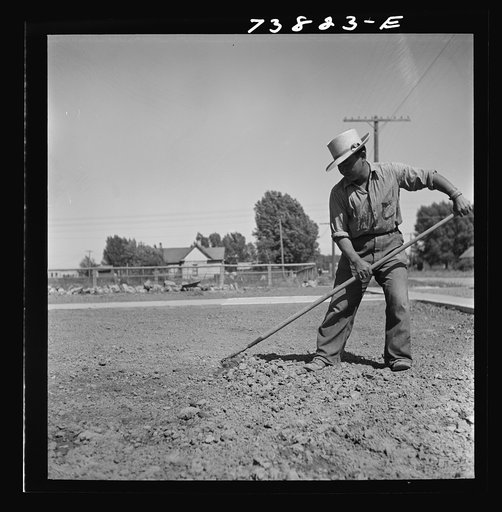 Untitled photo, possibly related to: Shelley, Idaho. Japanese farm worker who lives at the FSA (Farm Security Administration) mobile camp working on a lawn in town