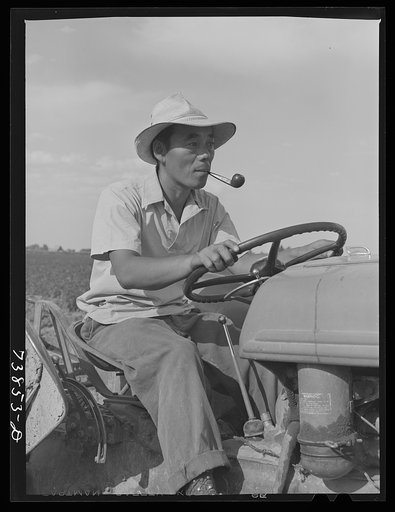 Rupert, Idaho. Former CCC (Civilian Conservation Corps) camp now under FSA (Farm Security Administration) management. Japanese-American driving a tractor