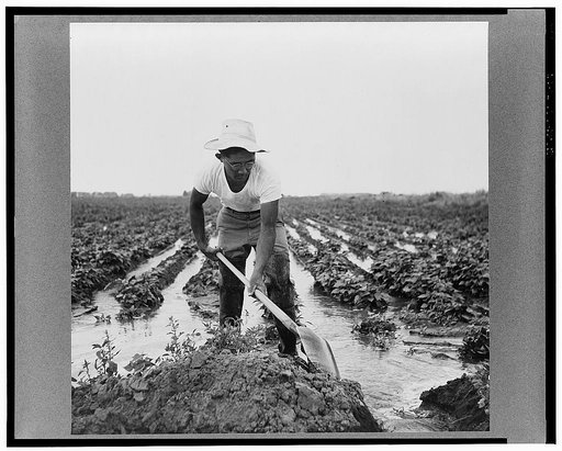 Rupert, Idaho. Former CCC (Civilian Conservation Corps) camp now under FSA (Farm Security Administration) management. A Japanese-American farm worker