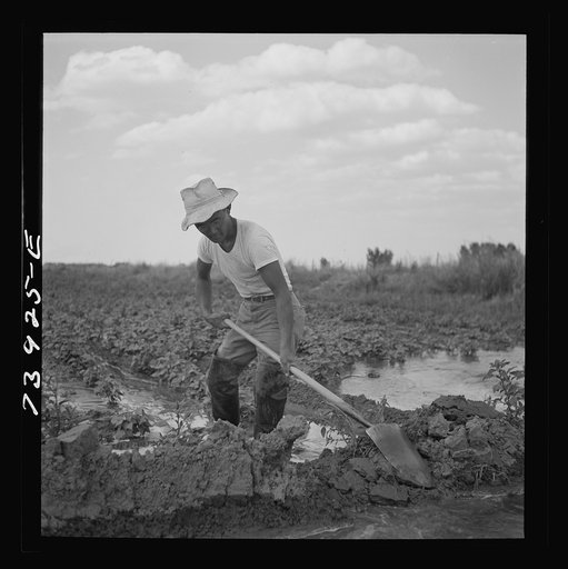 Rupert, Idaho. Former CCC (Civilian Conservation Corps) camp now under the FSA (Farm Security Administration) management. A Japanese-American farm worker