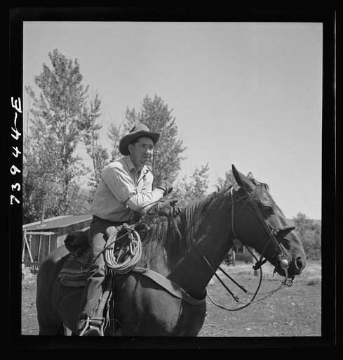 Ola, Idaho. Cowboy who cares for beef cattle of members of the Ola self-help cooperative