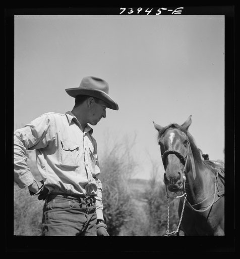 Untitled photo, possibly related to: Ola, Idaho. Cowboy who cares for beef cattle of members of the Ola self-help cooperative
