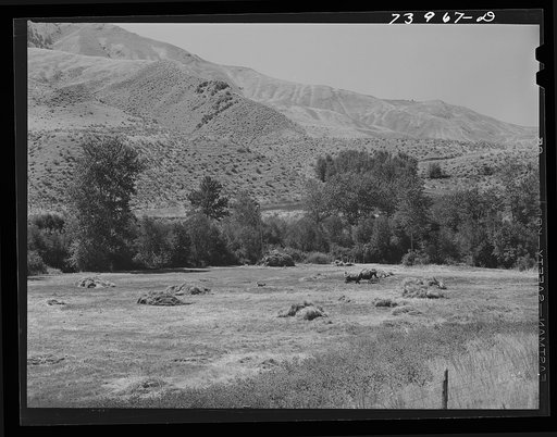 Lemhi County, Idaho. Haying in the valley of Panther Creek