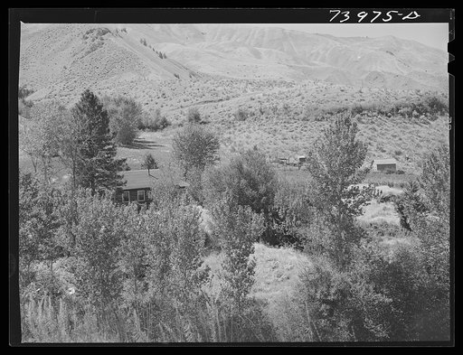 Untitled photo, possibly related to: Lemhi County, Idaho. Haying in the valley of Panther Creek