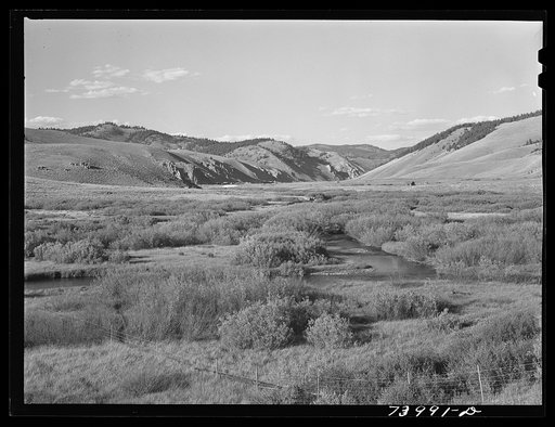 Stanley, Idaho. Creek in the meadows