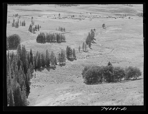Blaine County, Idaho. Meandering stream in the upper valley of the Salmon River