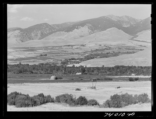 Lemhi County, Idaho. Putting up hay in the Lemhi River Valley