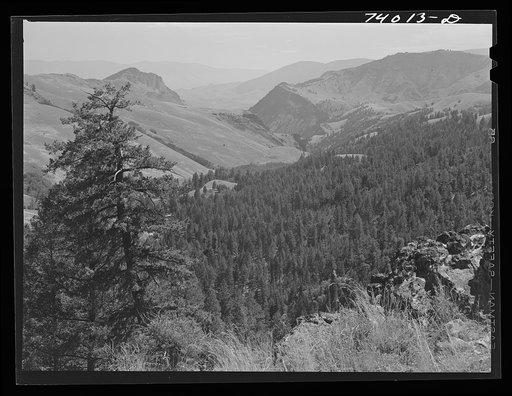 In the Salmon River Mountains. Lemhi County, Idaho