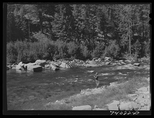 Custer County, Idaho. Fishing in the Salmon River