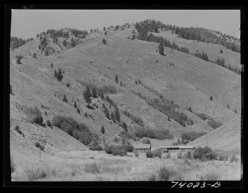 Custer County, Idaho. Cattle ranch on the Salmon River