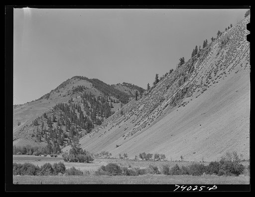 Custer County, Idaho. Valley meadows are at the foot of steep mountains along the Salmon River