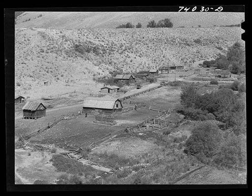 Lemhi County, Idaho. Cattle ranch