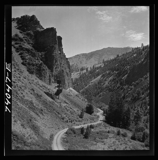 Lemhi County, Idaho. Road down Williams Creek Valley
