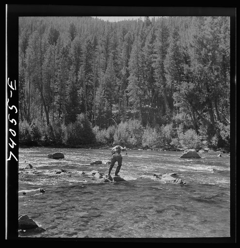 Custer County, Idaho. Fishing in the Salmon River