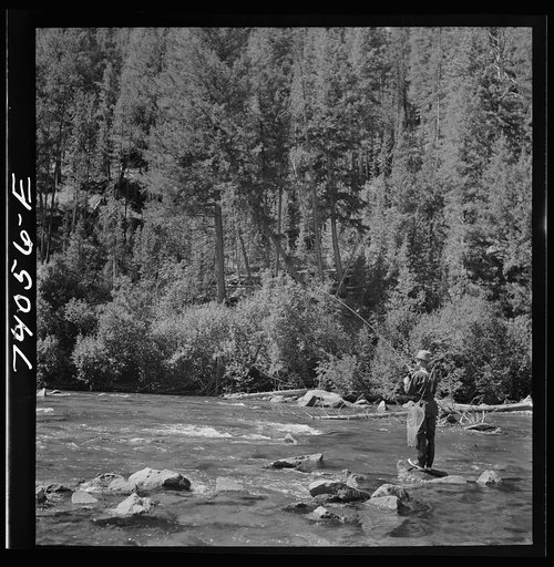 Untitled photo, possibly related to: Custer County, Idaho. Fishing in the Salmon River