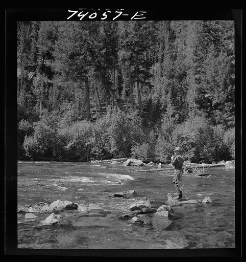 Untitled photo, possibly related to: Custer County, Idaho. Fishing in the Salmon River