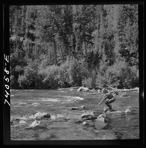 Custer County, Idaho. Fishing in the Salmon River