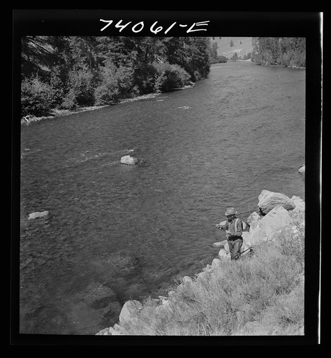 Untitled photo, possibly related to: Custer County, Idaho. Fisherman with his dog on the Salmon River