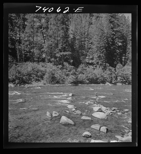 Custer County, Idaho. Fishing in the Salmon River