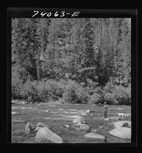 Untitled photo, possibly related to: Custer County, Idaho. Fishing in the Salmon River
