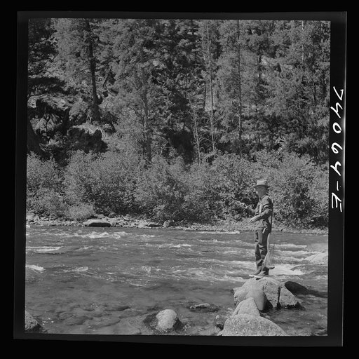 Untitled photo, possibly related to: Custer County, Idaho. Fishing in the Salmon River