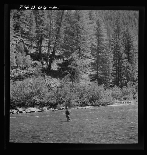 Untitled photo, possibly related to: Custer County, Idaho. Fishing in the Salmon River