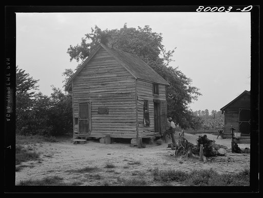 Untitled photo, possibly related to: Yamacis farm house. Back of house is an orchard, and then fields of tobacco. Ridge, Maryland. Saint Mary's County