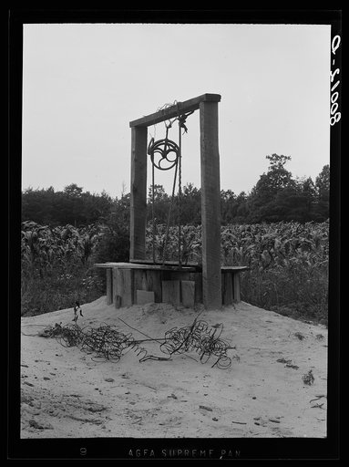 Ambrose well. In the background there is a cornfield. Ridge, Maryland. Saint Mary's County