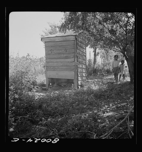 Untitled photo, possibly related to: Little John Fredrick stands on the outside "where the flies ain't so bad." John Fredrick's privy, Saint Mary's County, Maryland