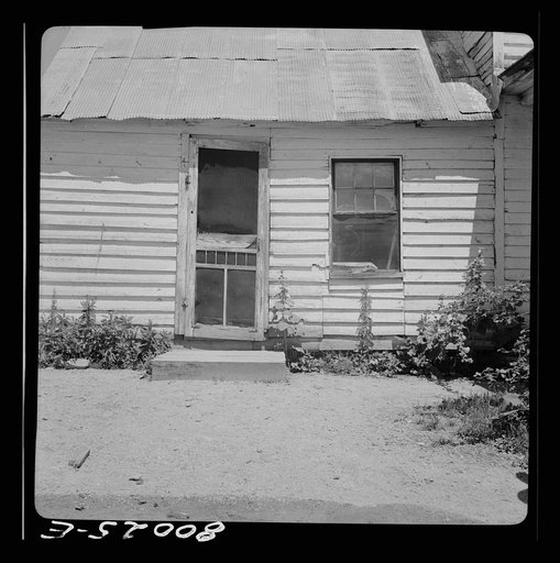 Front yard of the Fredrick house. Saint Mary's County, Maryland