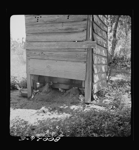 Unsanitary privy, flies may easily spread intestinal disease from this type. Near La Plata, Maryland. Charles County