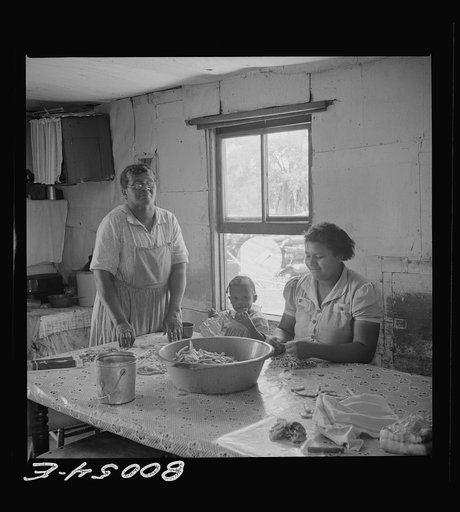The Fredrick womenfolk shell snap beans. Saint Mary's County, Maryland