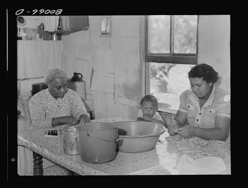 Shelling snap beans in the Biscoe kitchen. John Biscoe farmhouse near Ridge, Maryland. Saint Mary's County