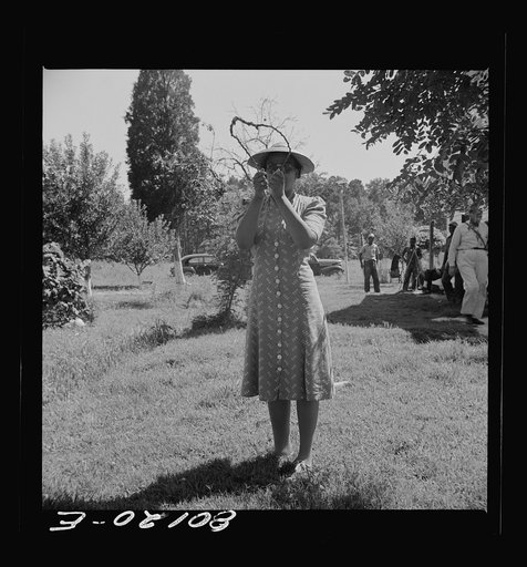 Untitled photo, possibly related to: Witching for water with a peach limb. Safe well demonstration, Ridge, Maryland, Saint Mary's County