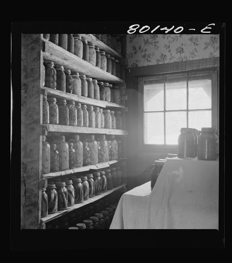FSA (Farm Security Administration) sponsored this well-stocked larder of canned foods. Saint Mary's County, Maryland