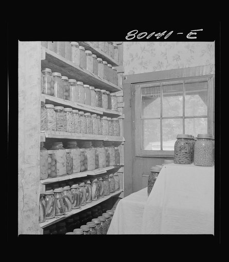 Untitled photo, possibly related to: FSA (Farm Security Administration) sponsored this well-stocked larder of canned foods. Saint Mary's County, Maryland