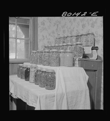 Vegetables canned by FSA (Farm Security Administration) borrower in cooperation with the "home plan." Saint Mary's County, Maryland