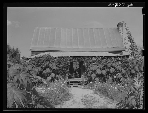 James F. Drigger's farmhouse. Coffee County, Alabama