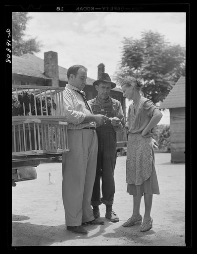 Josh and Eulia Smart receive a check for their chickens sold to the Craig Field, Southeastern Air Training Center, from Mr. Oveltin, co-op specialist. Coffee County, Alabama (FSA (Farm Security Administration) Food for Defense Program)
