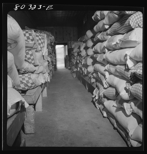 Bags of feed in the well-stocked Farmers Exchange co-op hatchery. Elba, Coffee County, Alabama