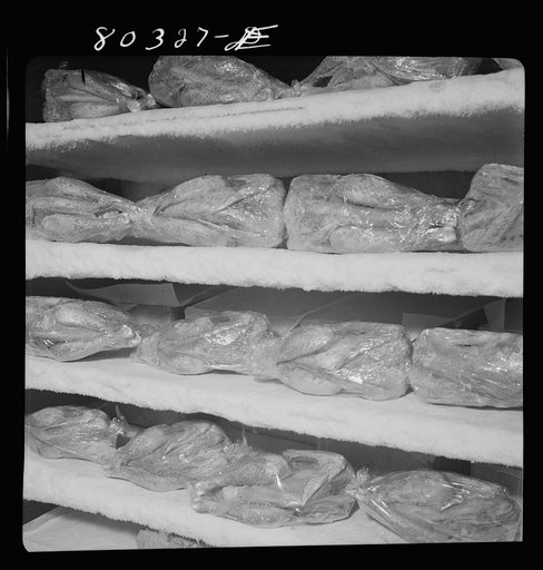 Frozen FSA (Farm Security Administration) "Food for Defense" chicken, wrapped in cellophane and ready for market. Enterprise Ice and Meat Storage Company, Enterprise, Alabama