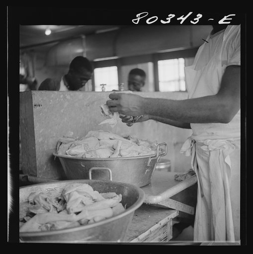 Untitled photo, possibly related to: Craig Field cooks didn't have to do much washing of these well-dressed FSA (Farm Security Administration) "Food for Defense" chickens from Coffee County, Alabama. Craig Field Southeastern Air Training Center, Selma, Alabama