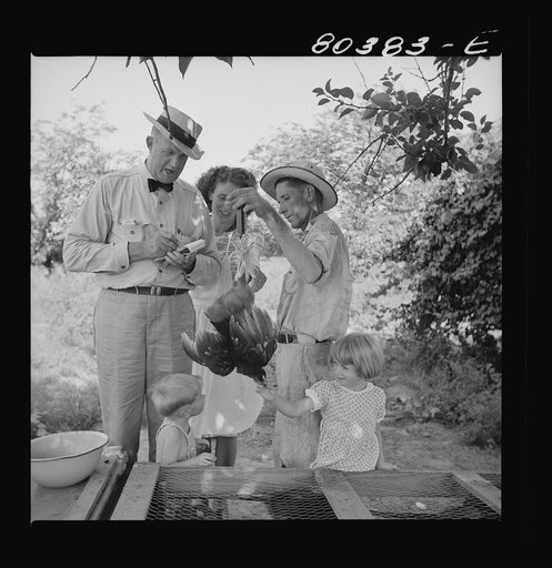 Supervisor McArthur weighs chicken being purchased for Craig Field, Southeastern Air Training Center. Drigger farm at Coffee County, Alabama