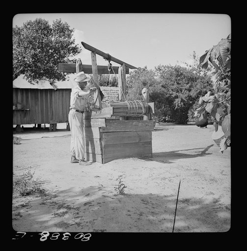James F. Drigger draws water from his well. Coffee County, Alabama
