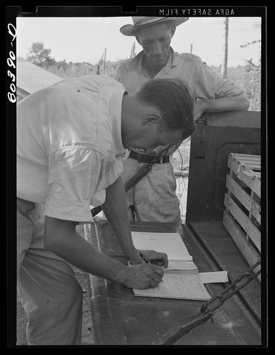 FSA (Farm Security Administration) official makes out check for James F. Drigger in payment for chickens bought. Coffee County, Alabama