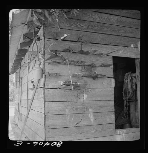 Spare tools hung on the wall of a Coffee County barn. Alabama